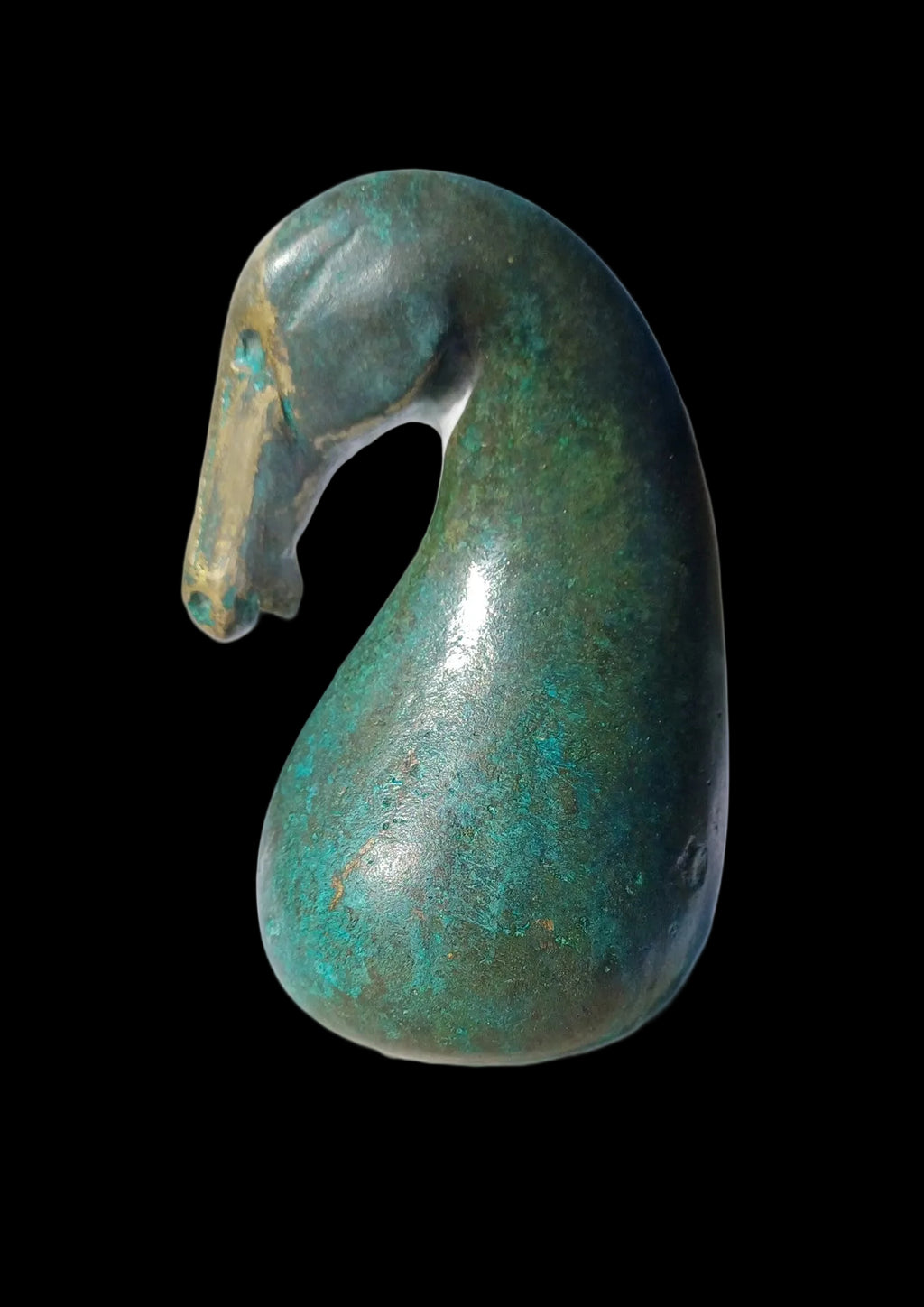 Sea Horse
