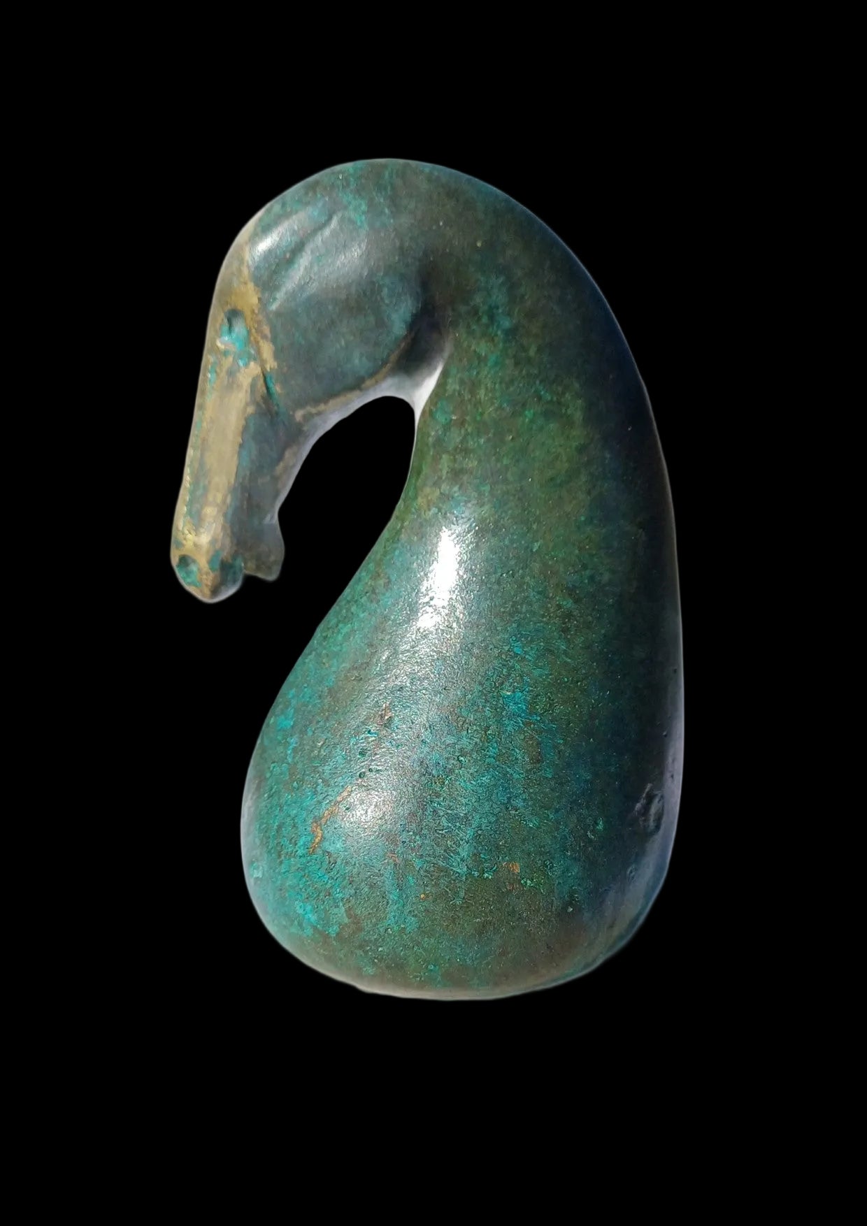 Sea Horse
