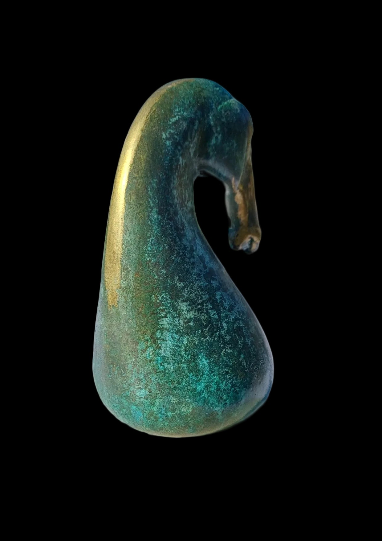 Sea Horse