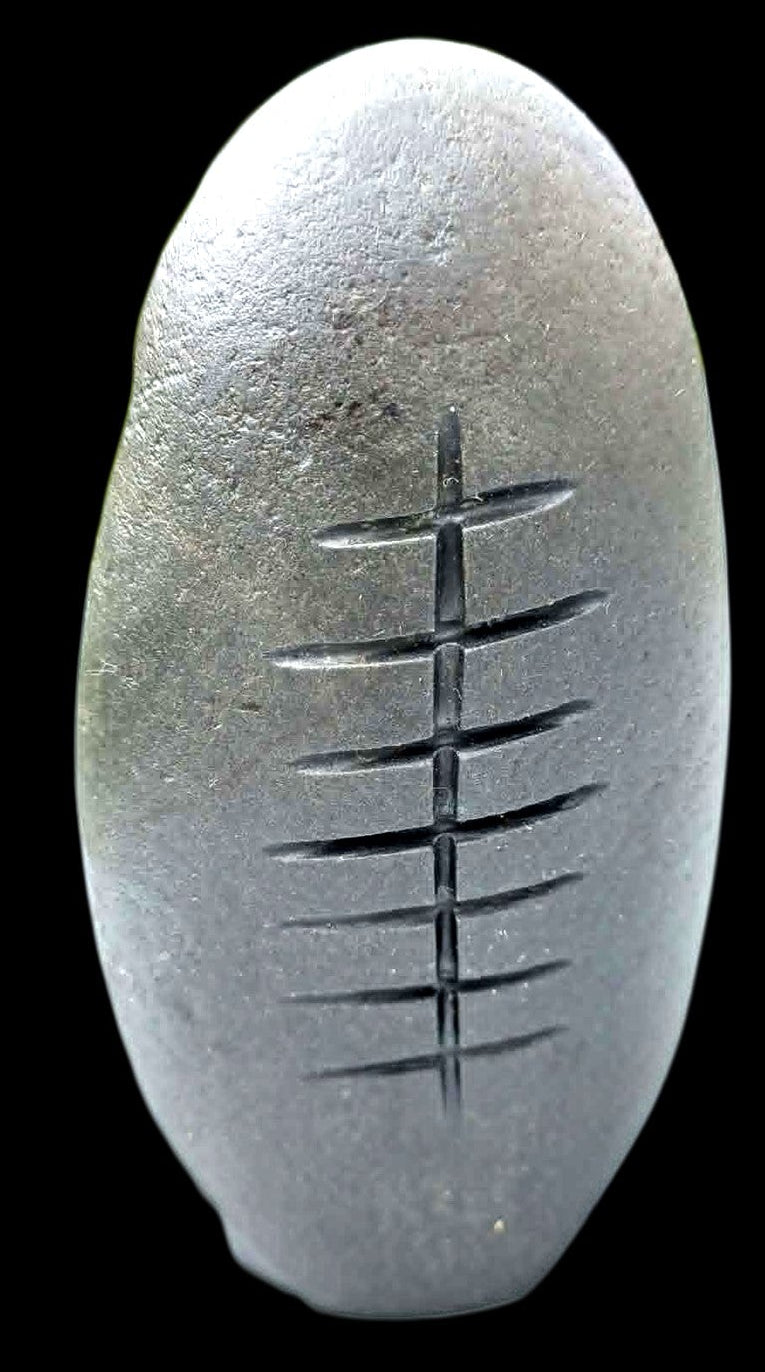 Stone Warrior  Samuri
